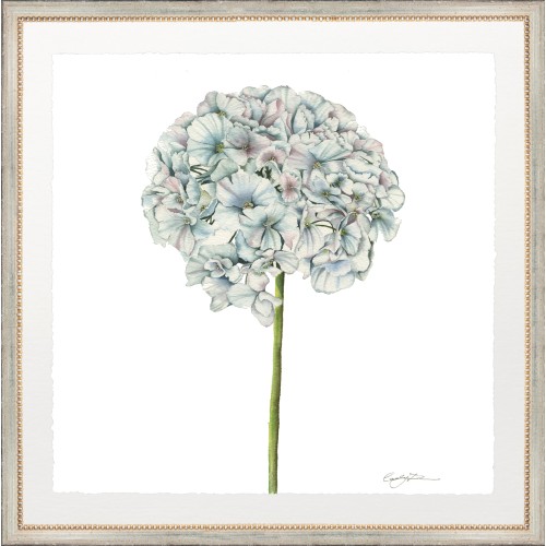 CD- BLOOM 1